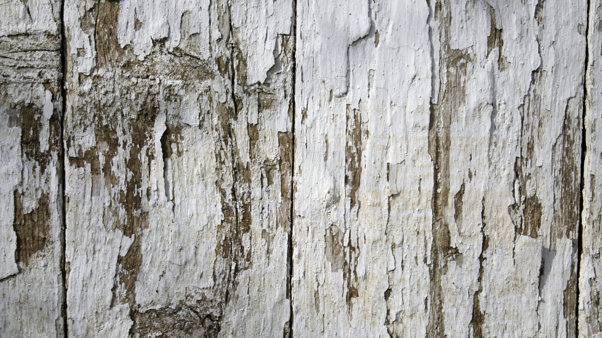 木, 栅栏, 纹理, 木板, 露头 壁纸 1920x1080 允许