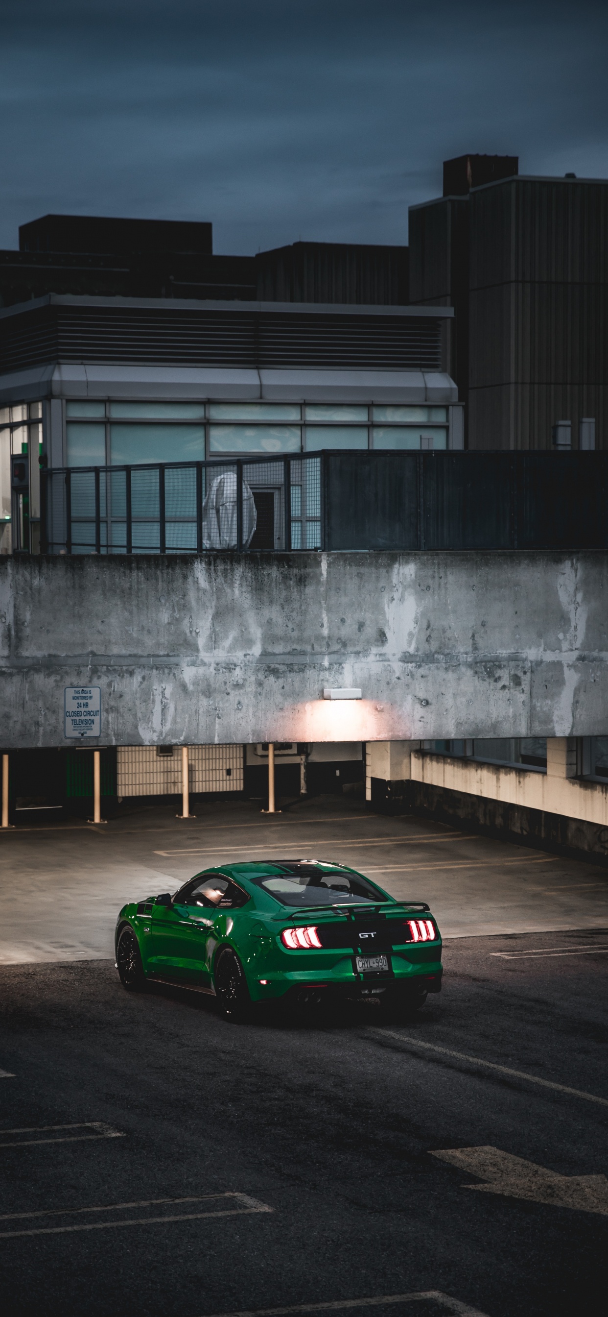 Ford Mustang, Ford Motor Company, Shelby Mustang, Ford, Voiture de Luxe. Wallpaper in 1242x2688 Resolution