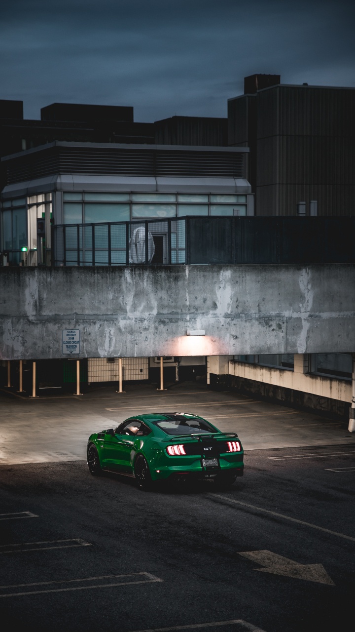 Ford Mustang, Ford Motor Company, Shelby Mustang, Ford, Voiture de Luxe. Wallpaper in 720x1280 Resolution