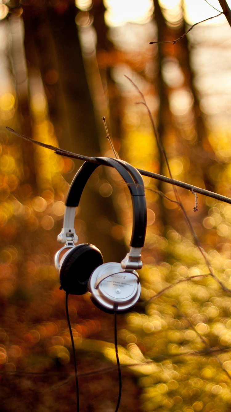 Auriculares, Naturaleza, Luz, Sucursal, la Luz Del Sol. Wallpaper in 750x1334 Resolution