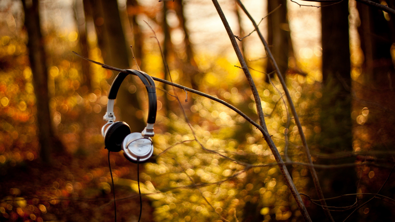 Headphones, Nature, Light, Tree, Branch. Wallpaper in 1366x768 Resolution