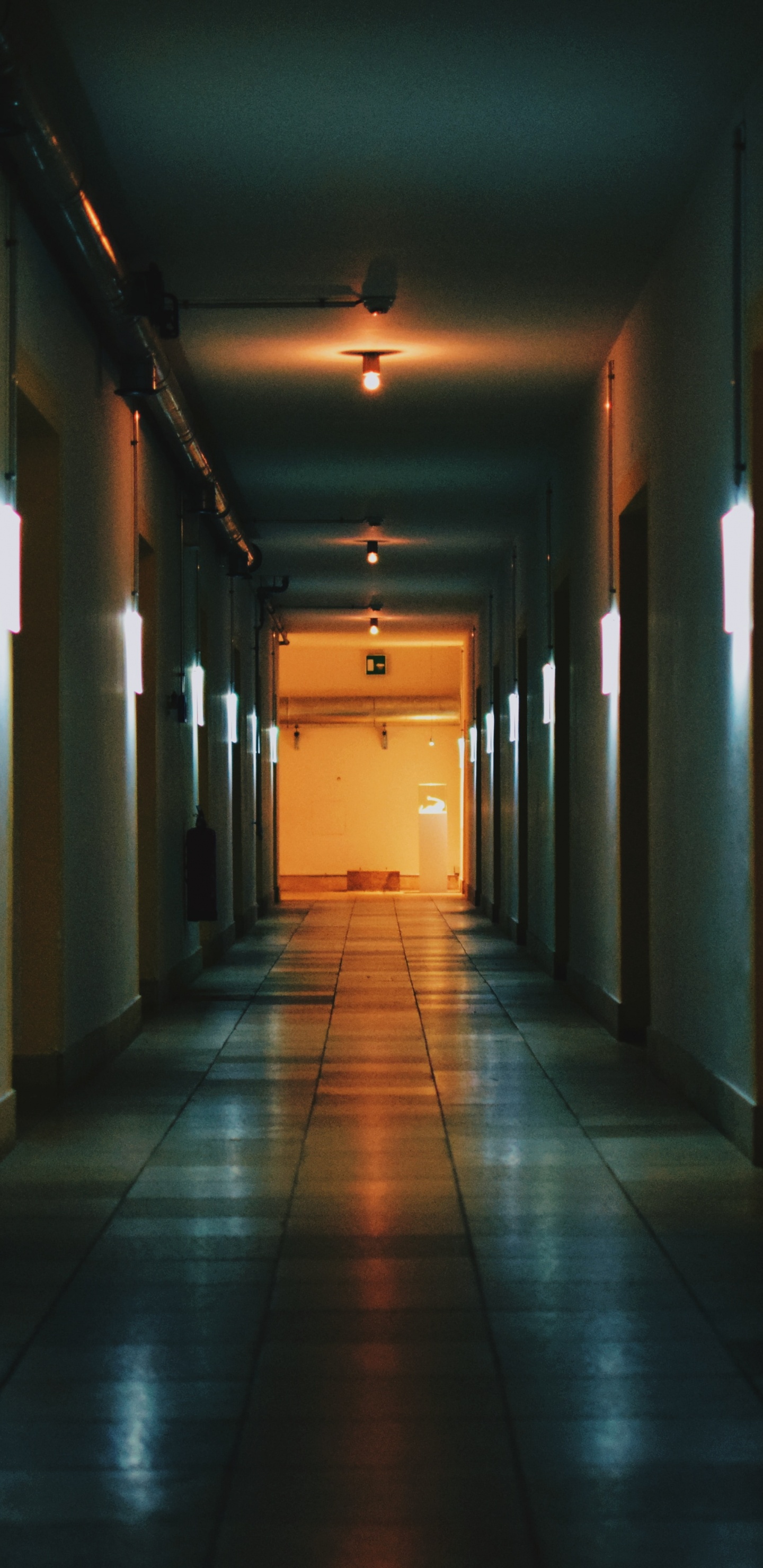 艺术, 天空, 维也纳, 建筑, 房间 壁纸 1440x2960 允许