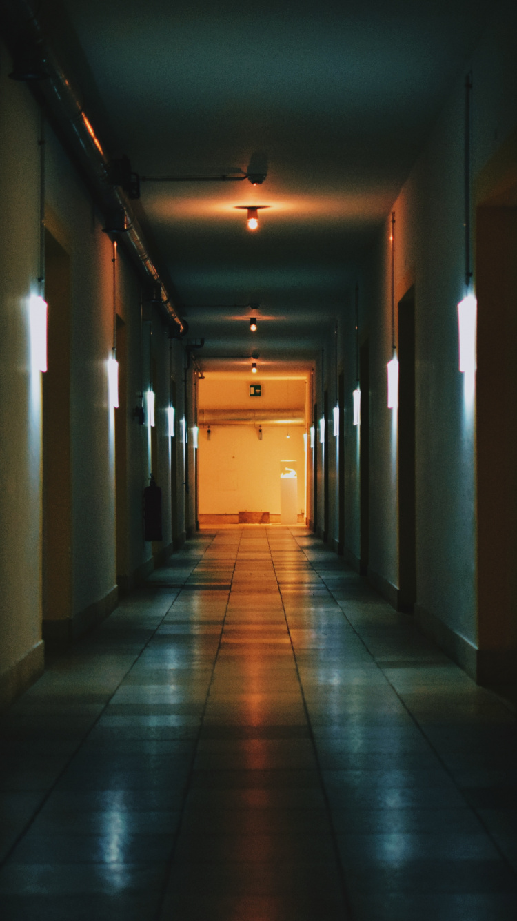 艺术, 天空, 维也纳, 建筑, 房间 壁纸 750x1334 允许