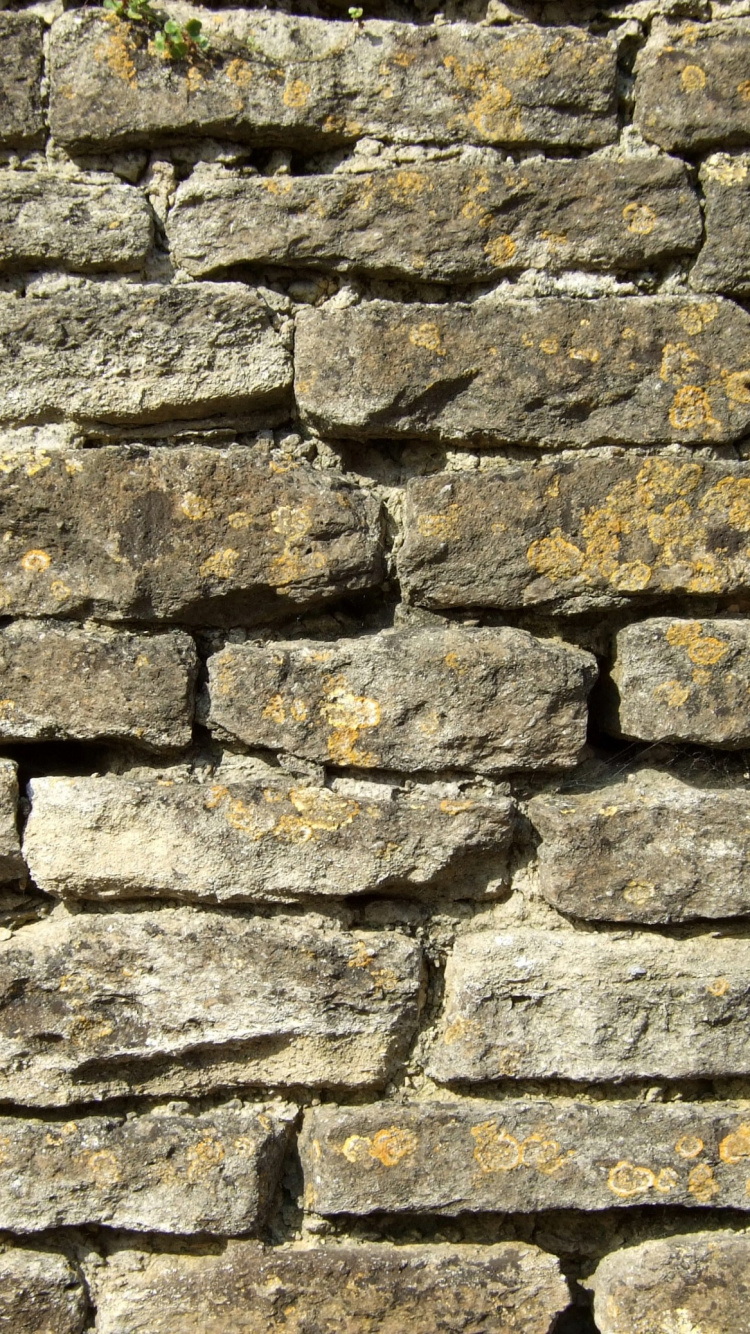 Pared de Ladrillo Marrón y Gris. Wallpaper in 750x1334 Resolution