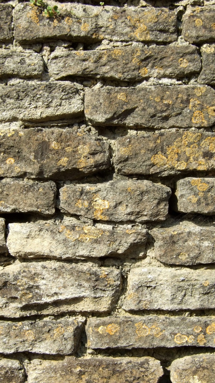 Brown and Gray Brick Wall. Wallpaper in 720x1280 Resolution