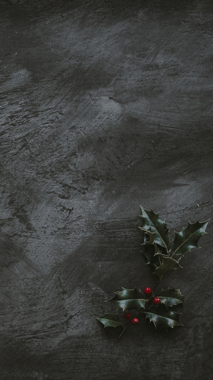 Grüner Und Roter Christbaumschmuck. Wallpaper in 720x1280 Resolution