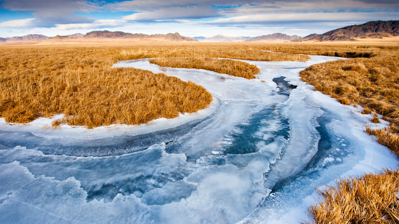 Brown Grass Field Covered With Snow During Daytime. Wallpaper in 1280x720 Resolution