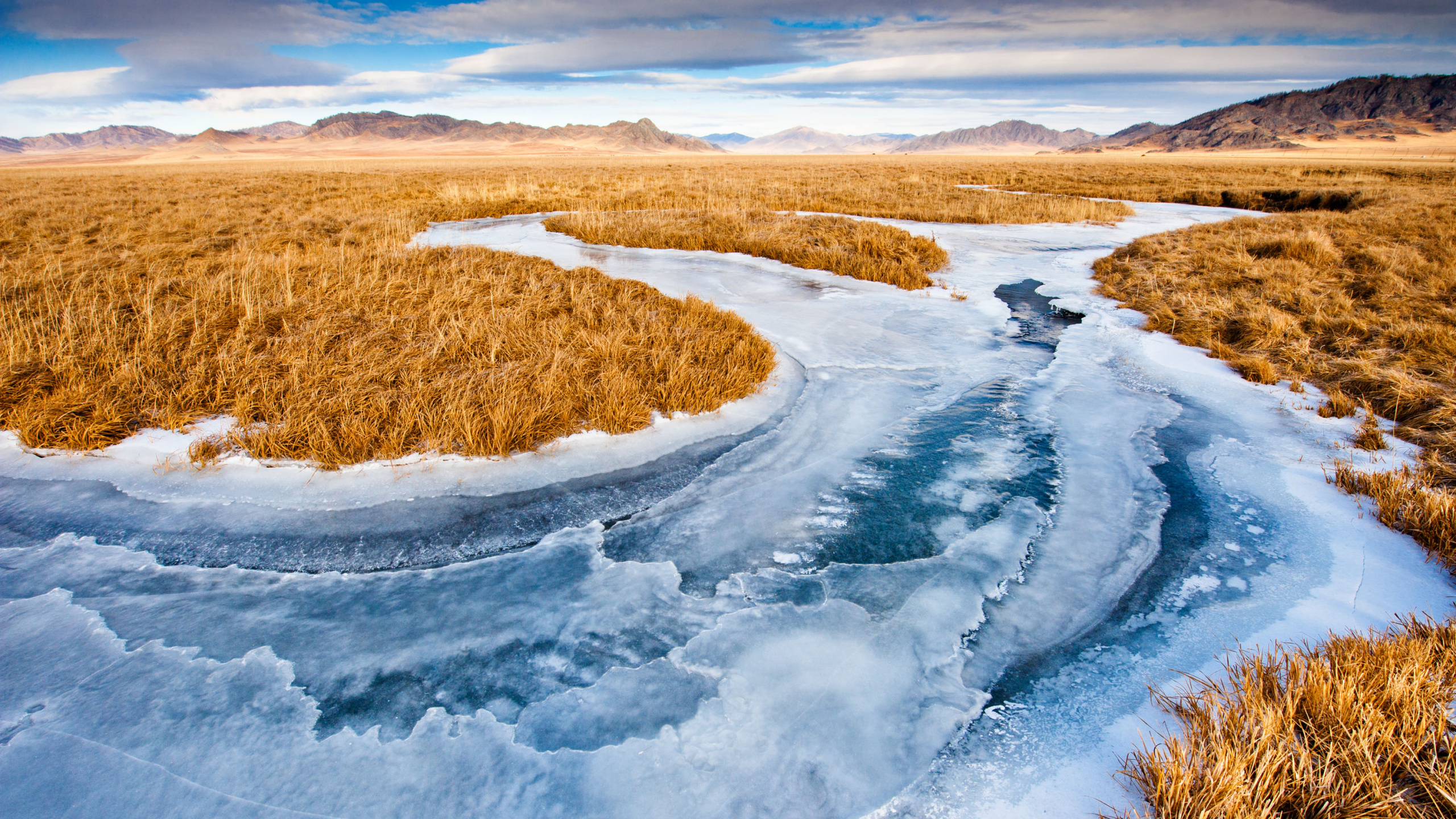 Brown Grass Field Covered With Snow During Daytime. Wallpaper in 2560x1440 Resolution