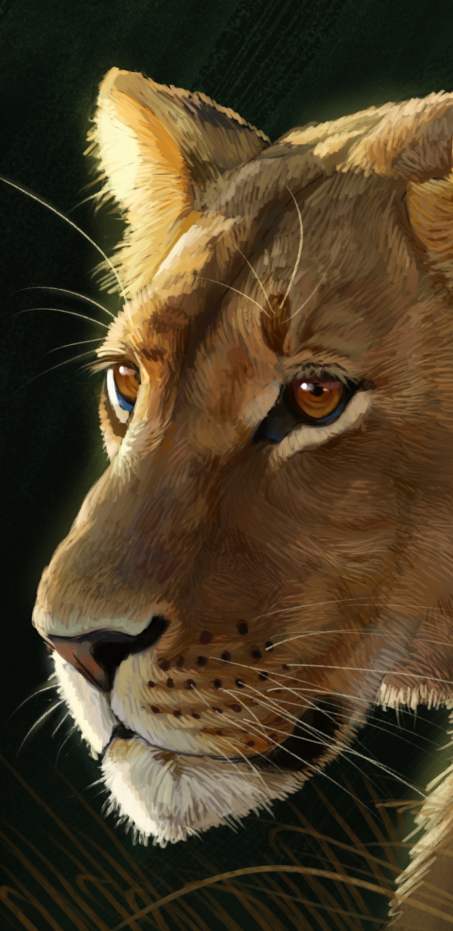 Brown Lion Lying on Black Textile. Wallpaper in 1440x2960 Resolution