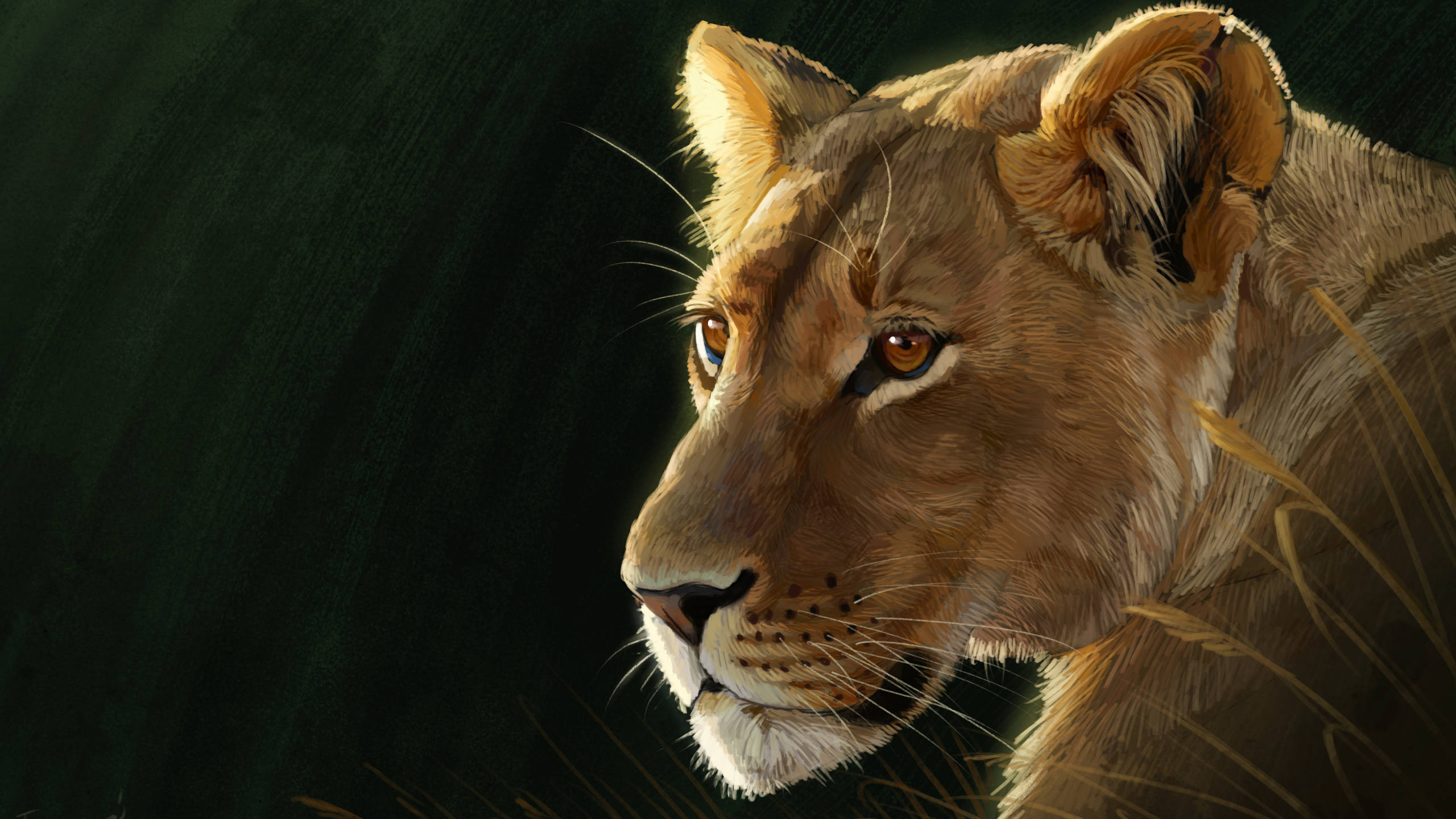 Lion Brun Allongé Sur Textile Noir. Wallpaper in 2560x1440 Resolution