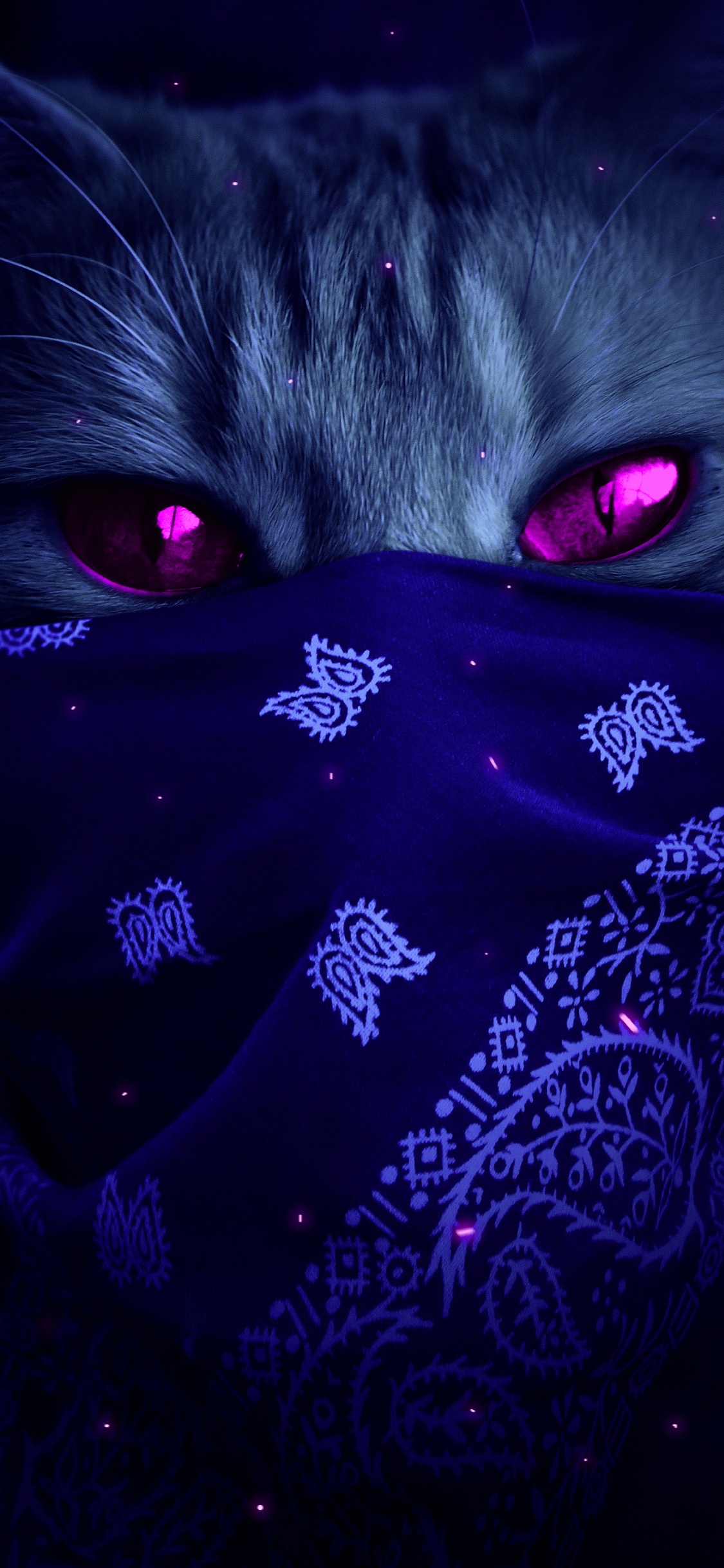 Purple, Felidae, Liquid, Cat, Violet. Wallpaper in 1125x2436 Resolution