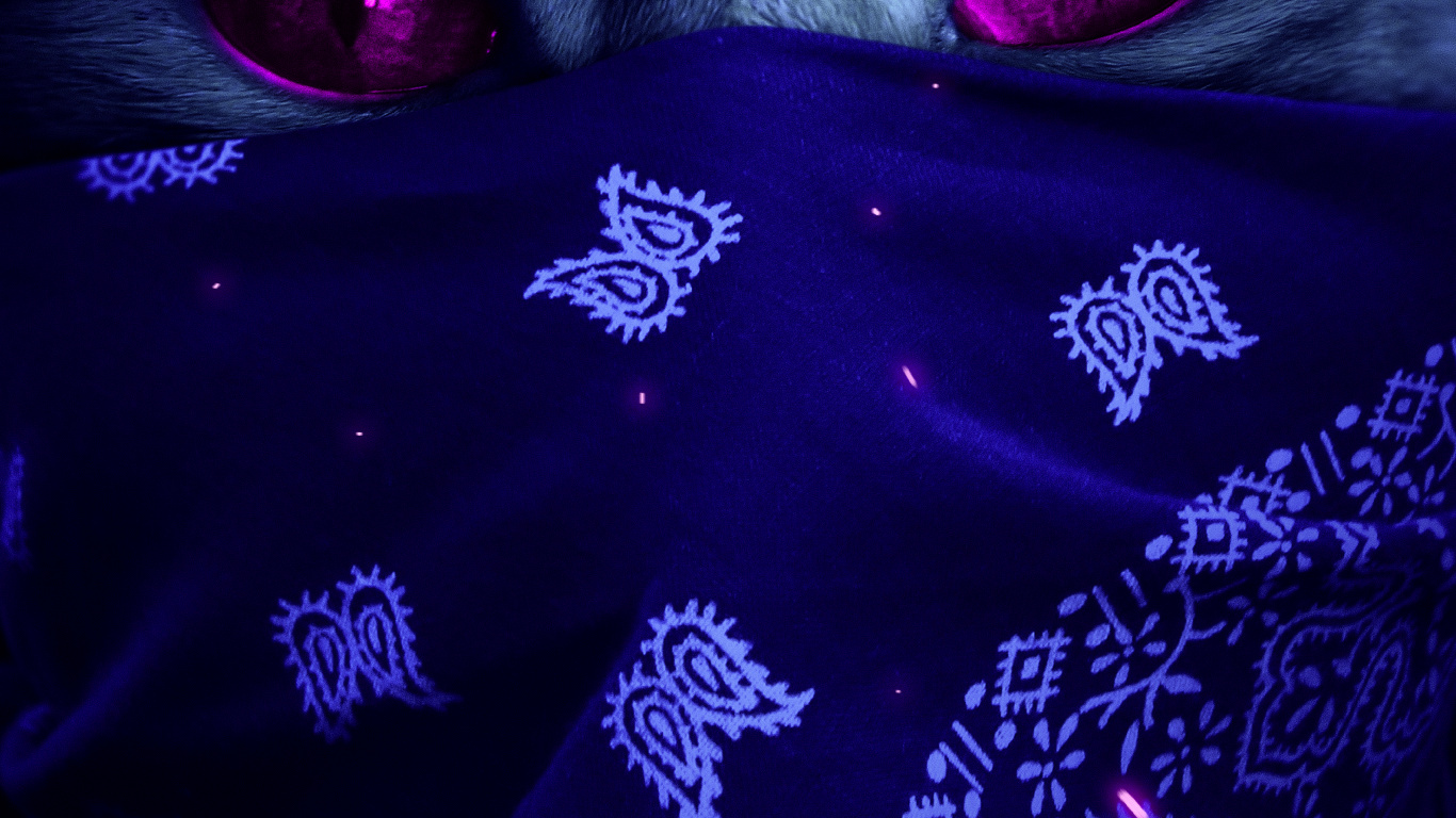 Purple, Felidae, Liquid, Chat, Violette. Wallpaper in 1366x768 Resolution