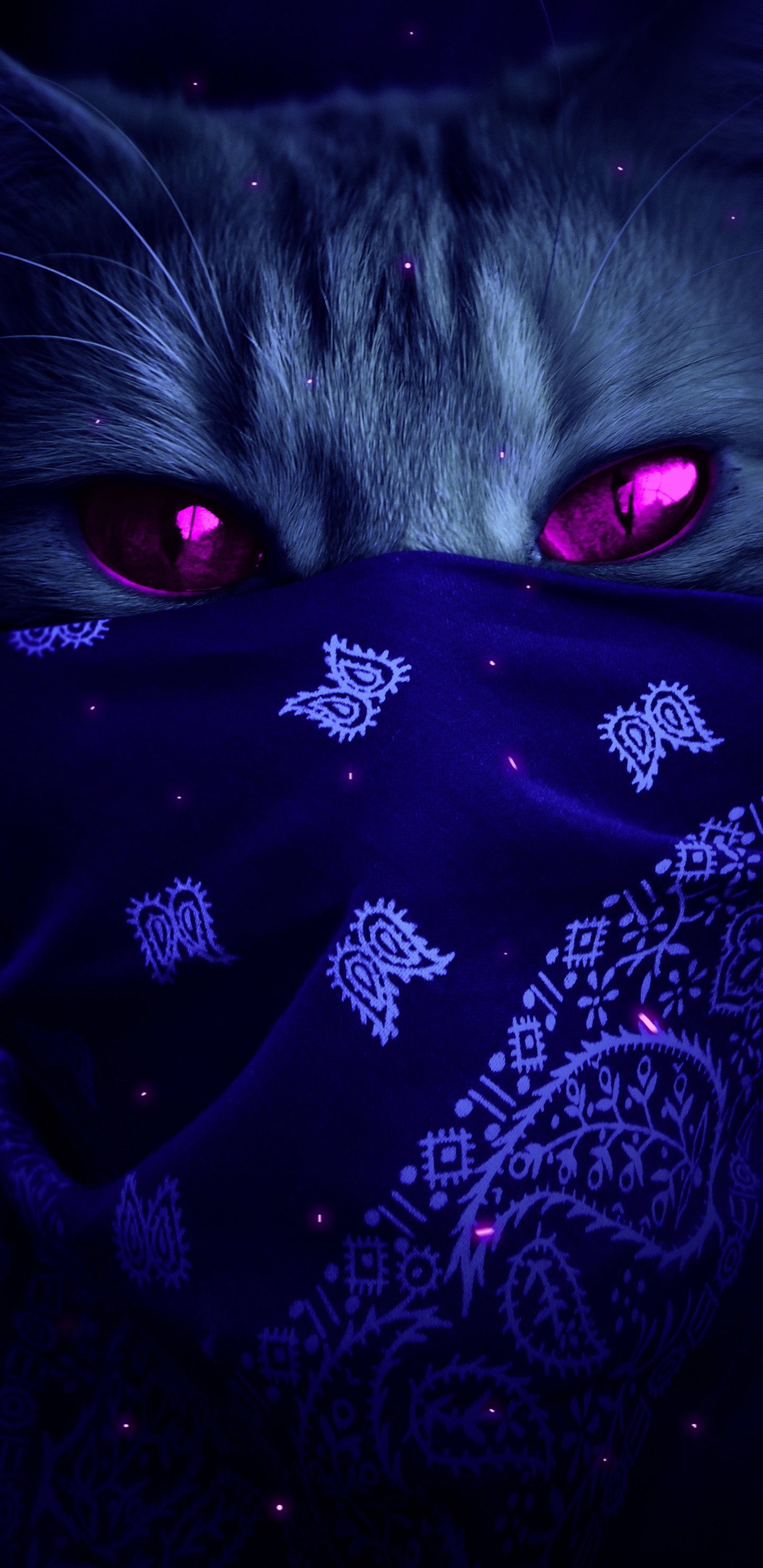 Purple, Felidae, Liquid, Chat, Violette. Wallpaper in 1440x2960 Resolution