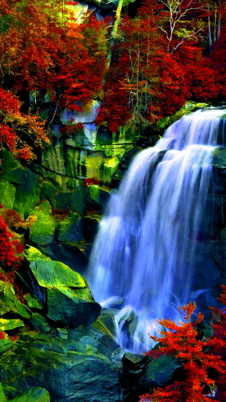 Cascadas en Medio Del Bosque. Wallpaper in 750x1334 Resolution