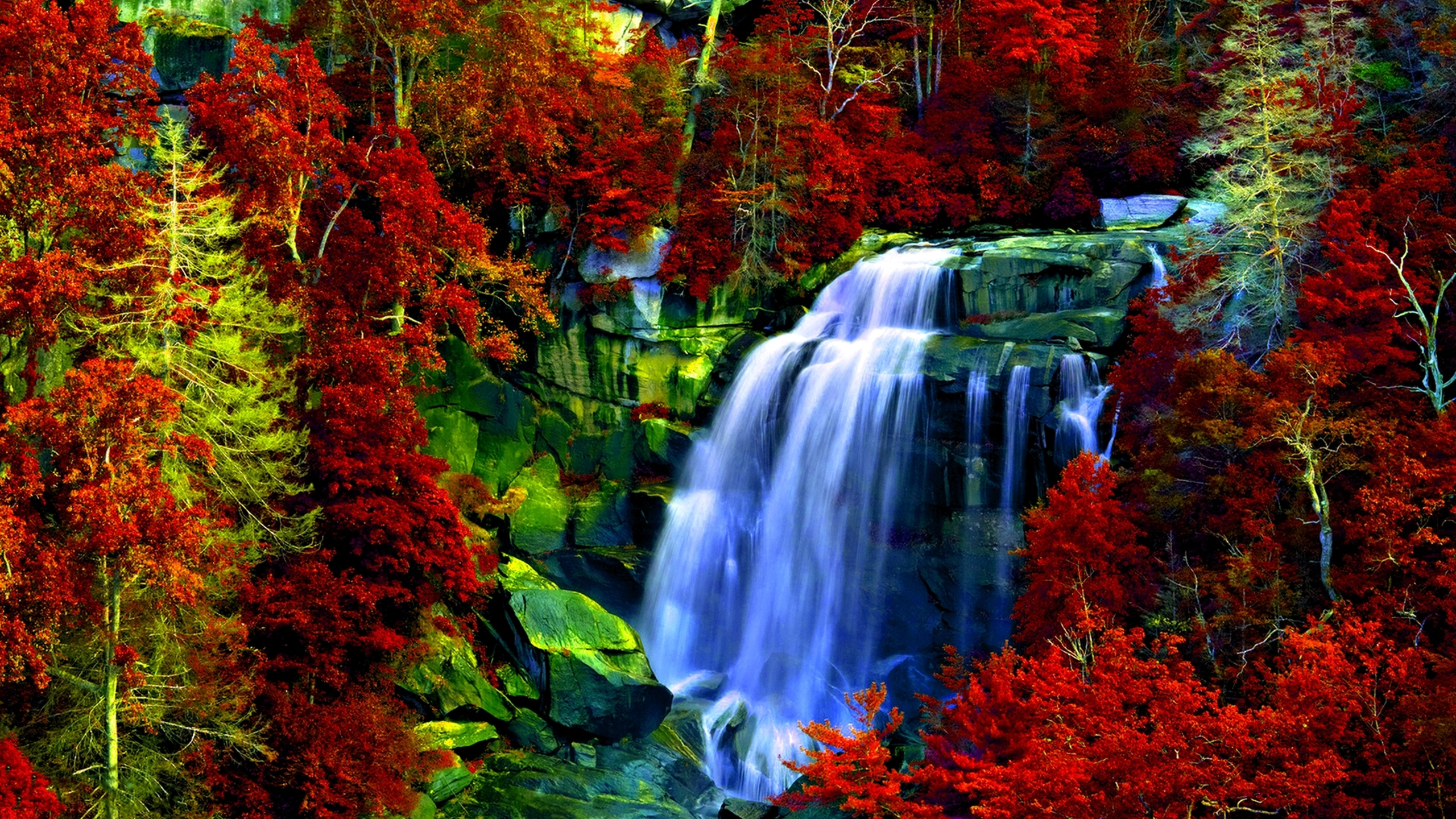 Waterfalls in The Middle of The Forest. Wallpaper in 2560x1440 Resolution
