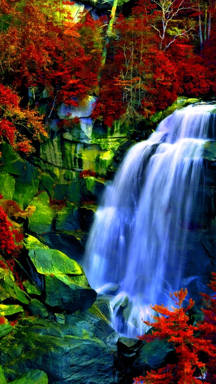 Waterfalls in The Middle of The Forest. Wallpaper in 720x1280 Resolution
