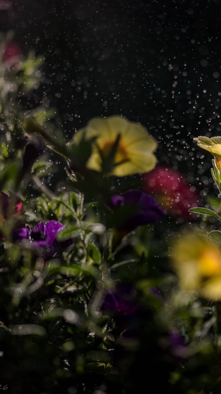 Yellow Flower on Black and Gray Marble Table. Wallpaper in 750x1334 Resolution
