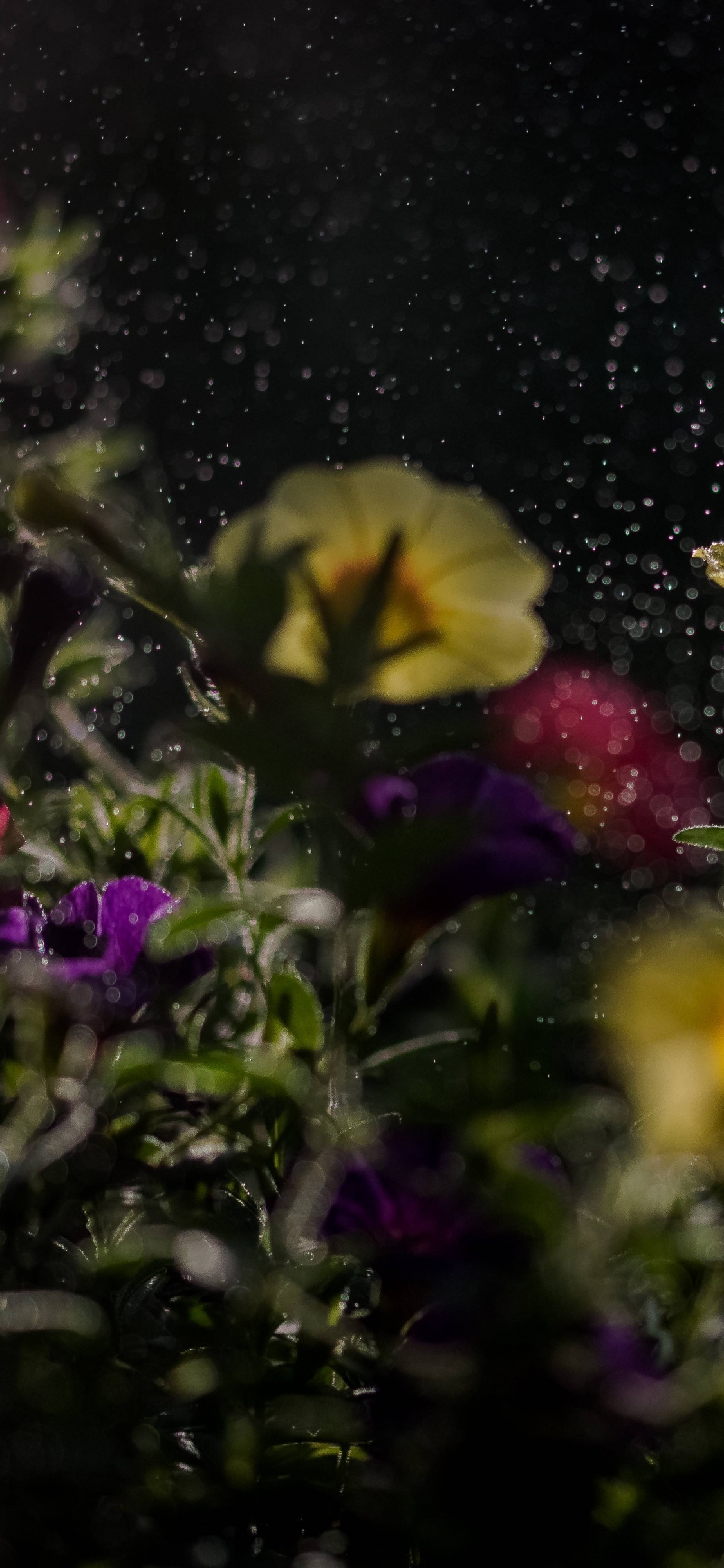 Gelbe Blume Auf Schwarzem Und Grauem Marmortisch. Wallpaper in 1125x2436 Resolution