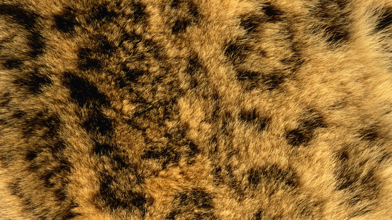 Textil de Piel Negra y Marrón. Wallpaper in 1280x720 Resolution