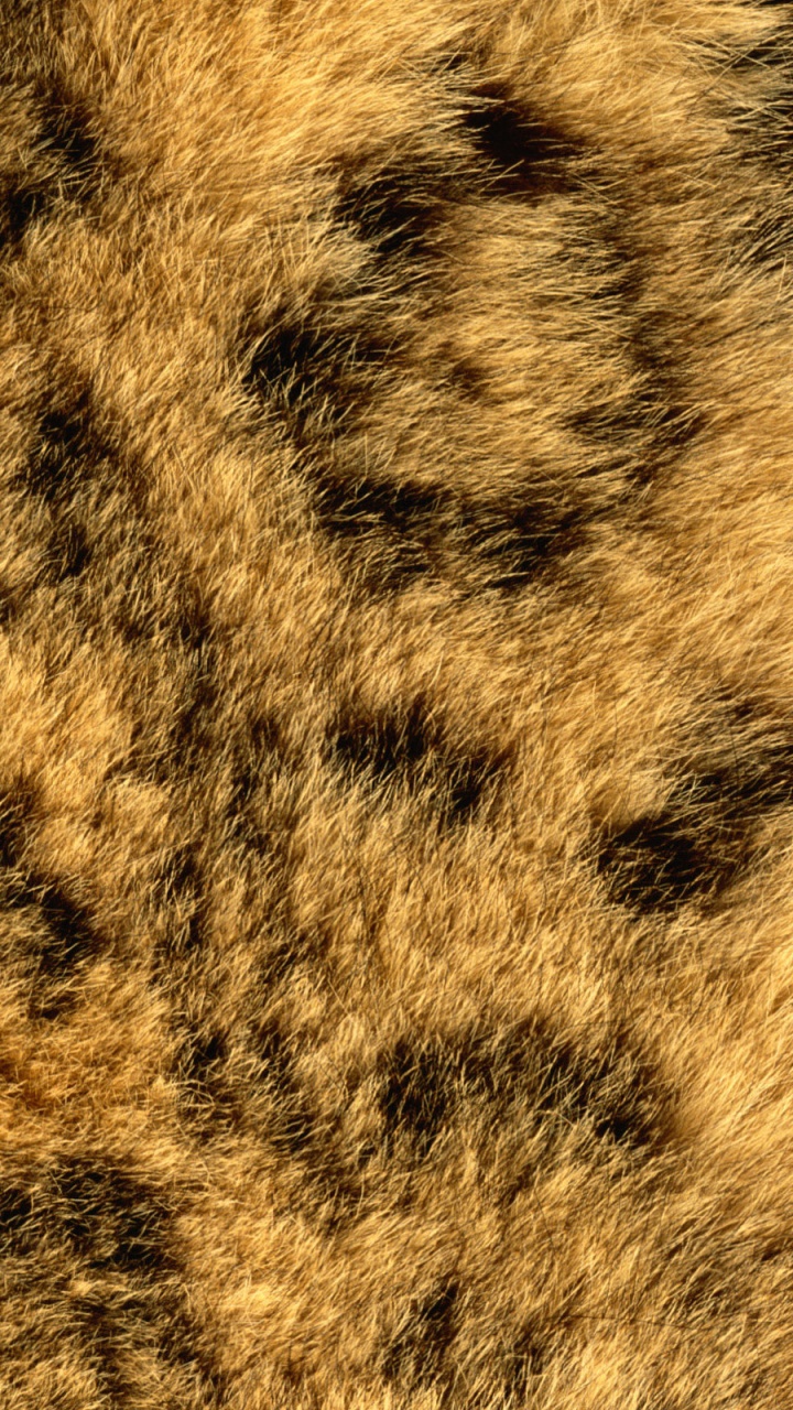Black and Brown Fur Textile. Wallpaper in 720x1280 Resolution