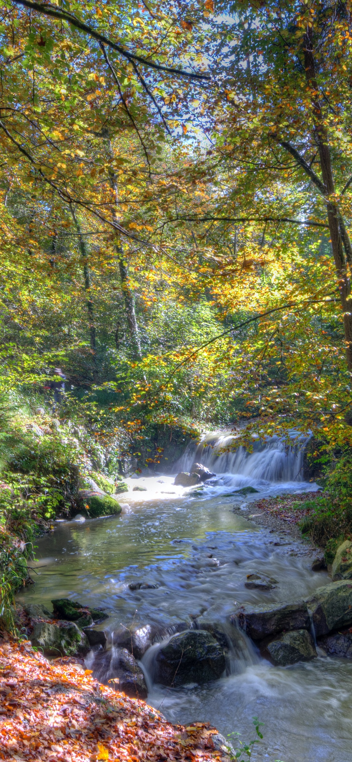 Nature, Eau, Paysage Naturel, Cours D'eau, Corps de L'eau. Wallpaper in 1125x2436 Resolution