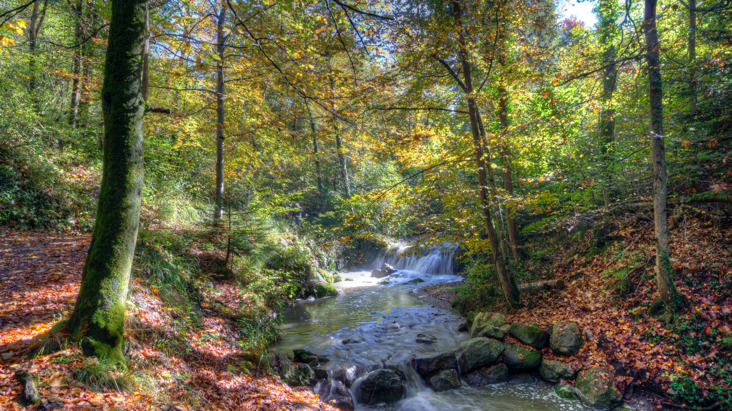 Nature, Eau, Paysage Naturel, Cours D'eau, Corps de L'eau. Wallpaper in 2560x1440 Resolution