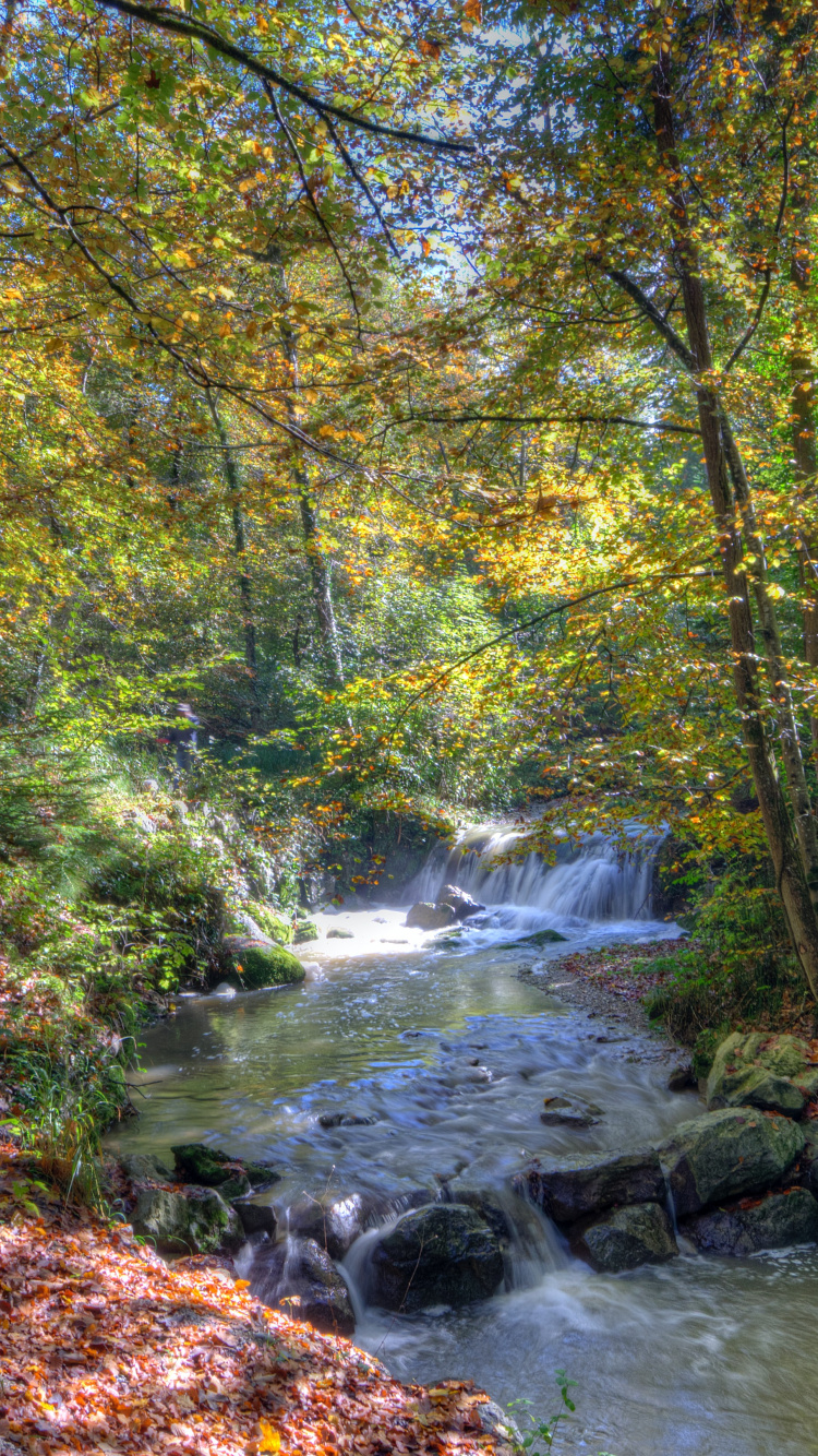 Nature, Eau, Paysage Naturel, Cours D'eau, Corps de L'eau. Wallpaper in 750x1334 Resolution