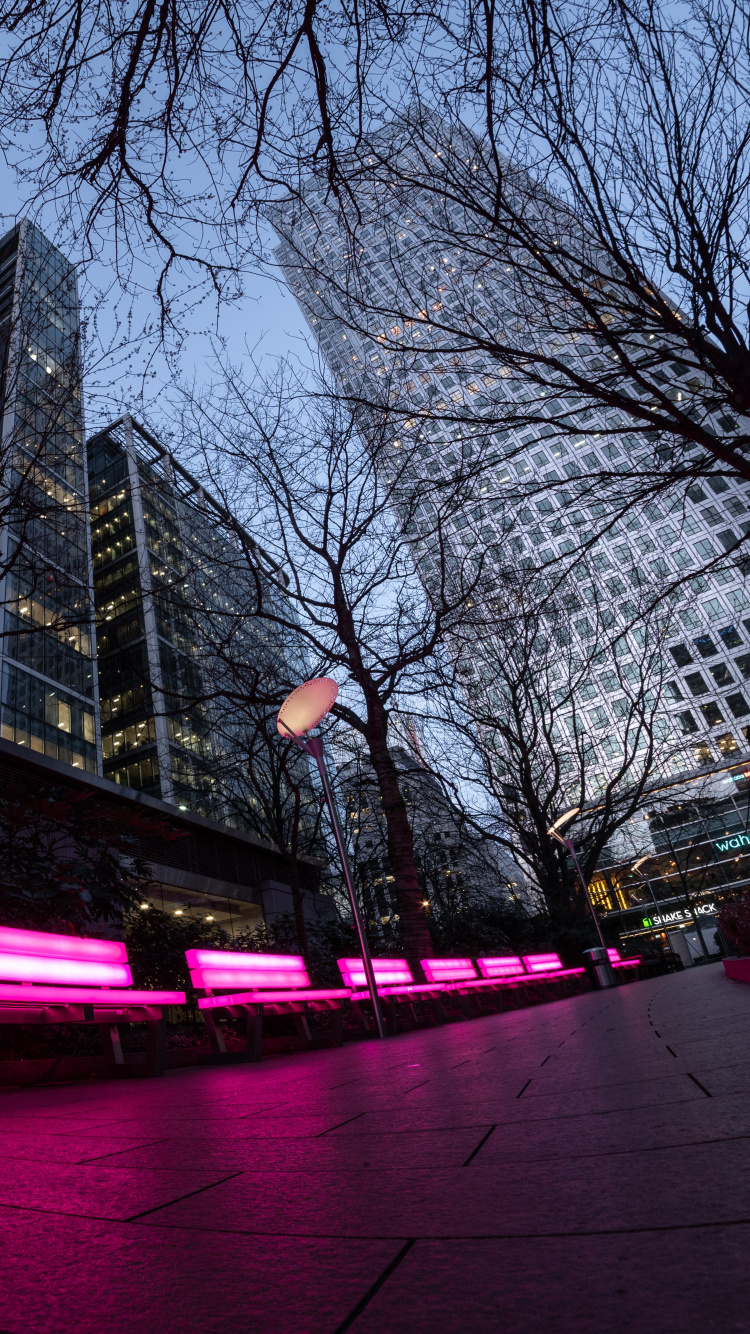 粉红色, 红色的, 光, 鱼眼镜头, 建筑 壁纸 750x1334 允许