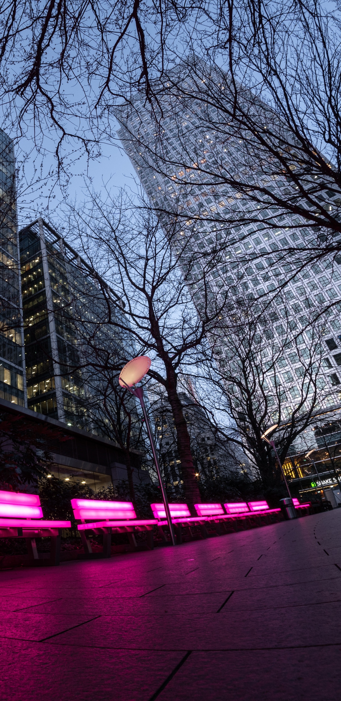 People Walking on Street During Nighttime. Wallpaper in 1440x2960 Resolution