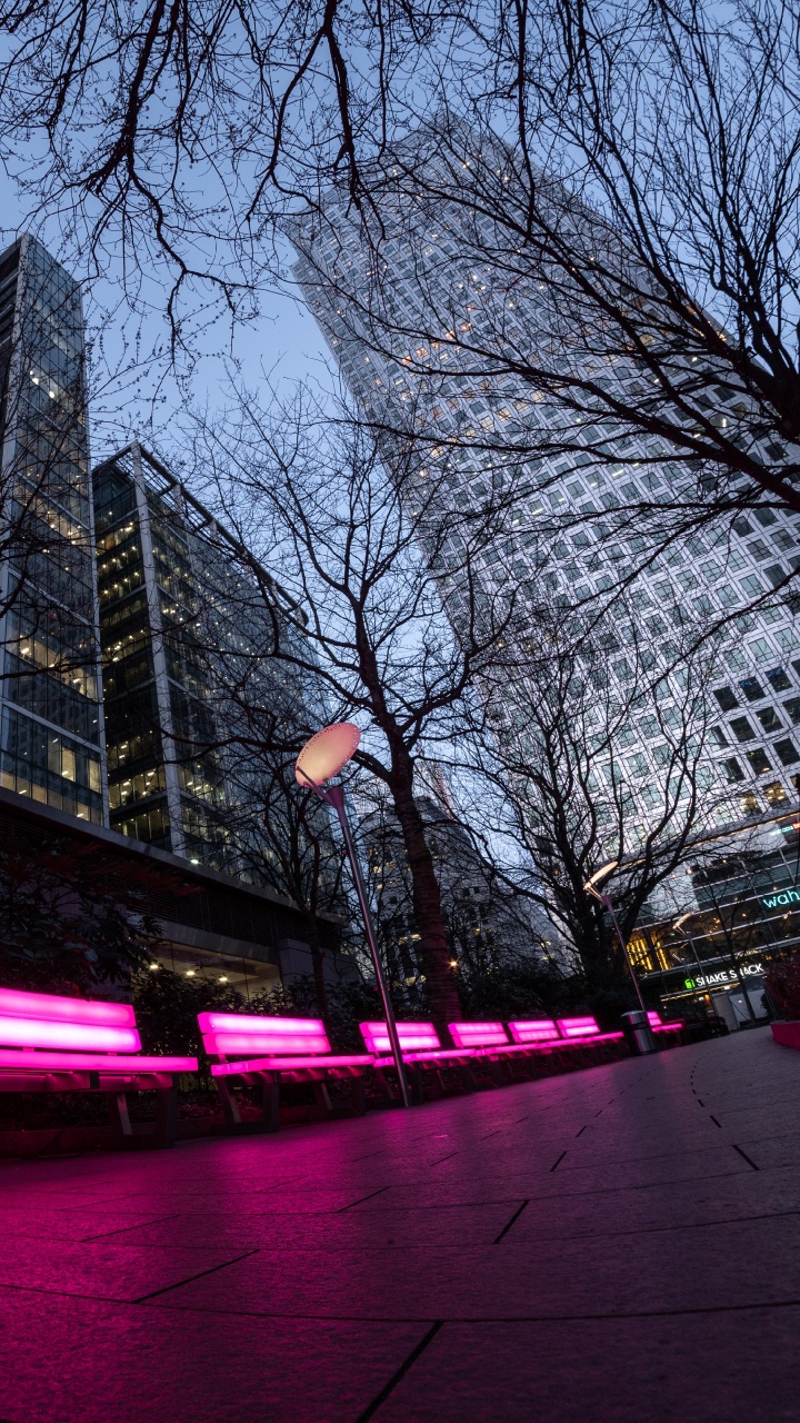 People Walking on Street During Nighttime. Wallpaper in 720x1280 Resolution