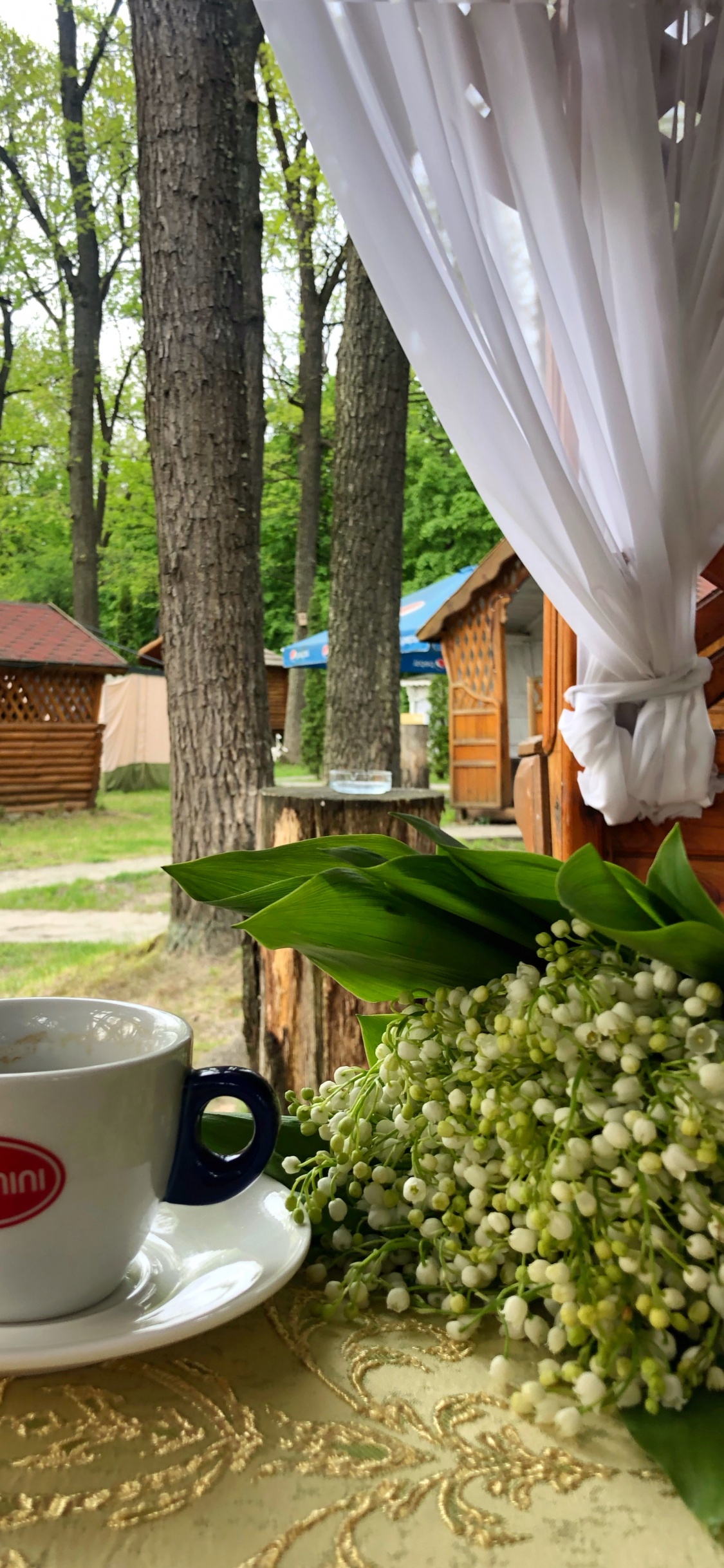 咖啡杯, 器皿, 饮具, 茶杯 壁纸 1125x2436 允许