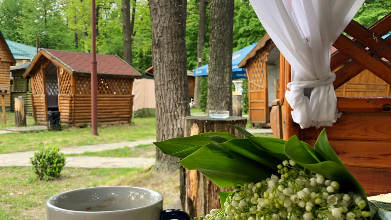 Tasse à Café, Mesure, la Vaisselle, Verrerie, Tasse de Thé. Wallpaper in 1280x720 Resolution