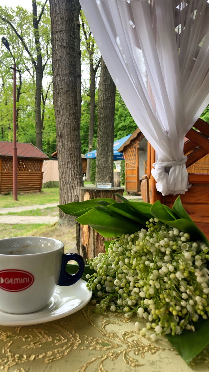 Tasse à Café, Mesure, la Vaisselle, Verrerie, Tasse de Thé. Wallpaper in 720x1280 Resolution