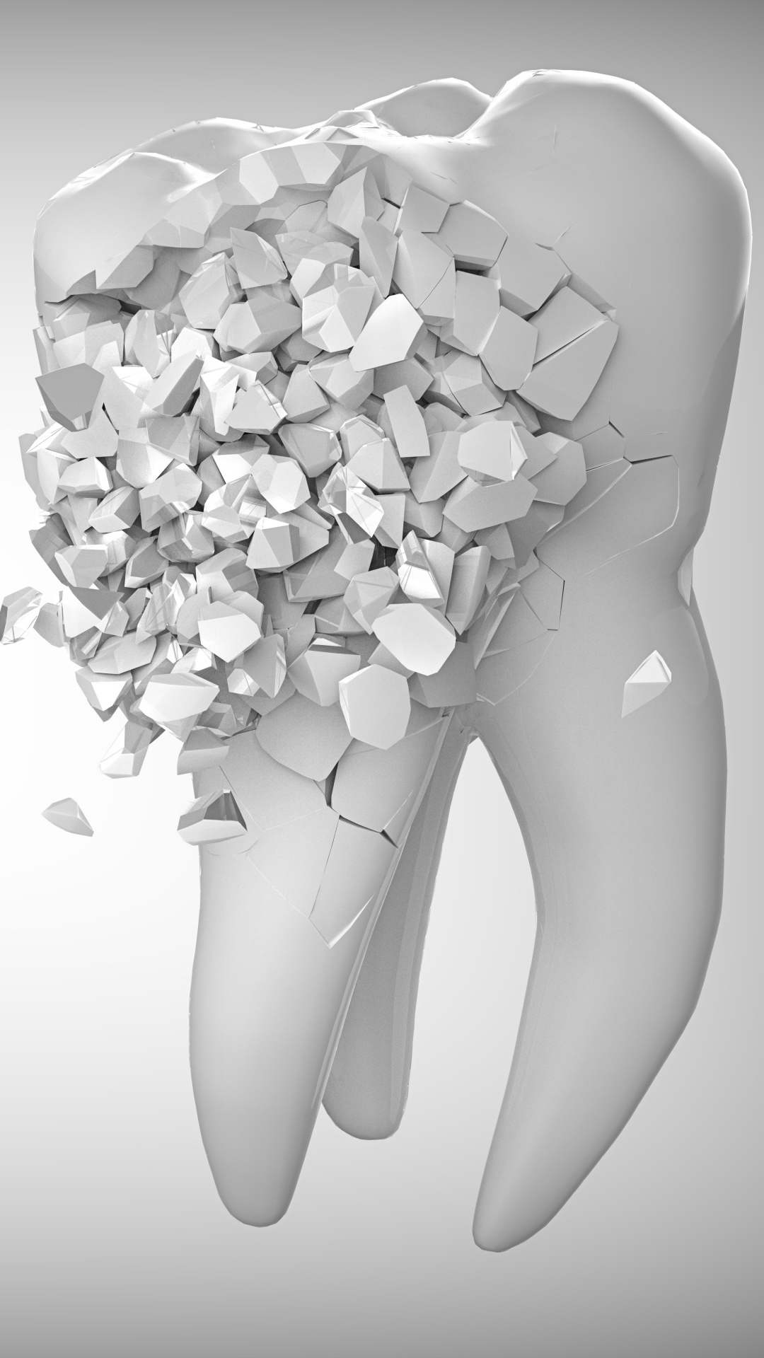 Fleur Blanche Sur Surface Blanche. Wallpaper in 1080x1920 Resolution