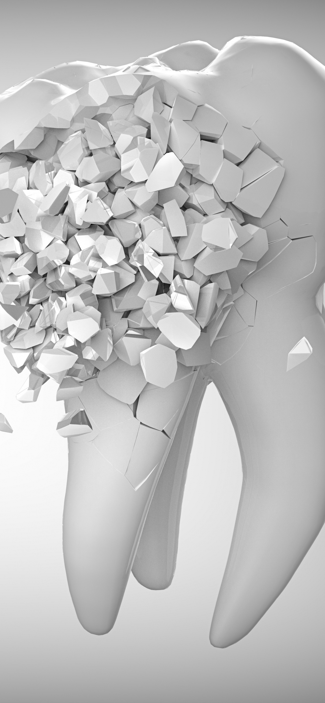 Fleur Blanche Sur Surface Blanche. Wallpaper in 1125x2436 Resolution