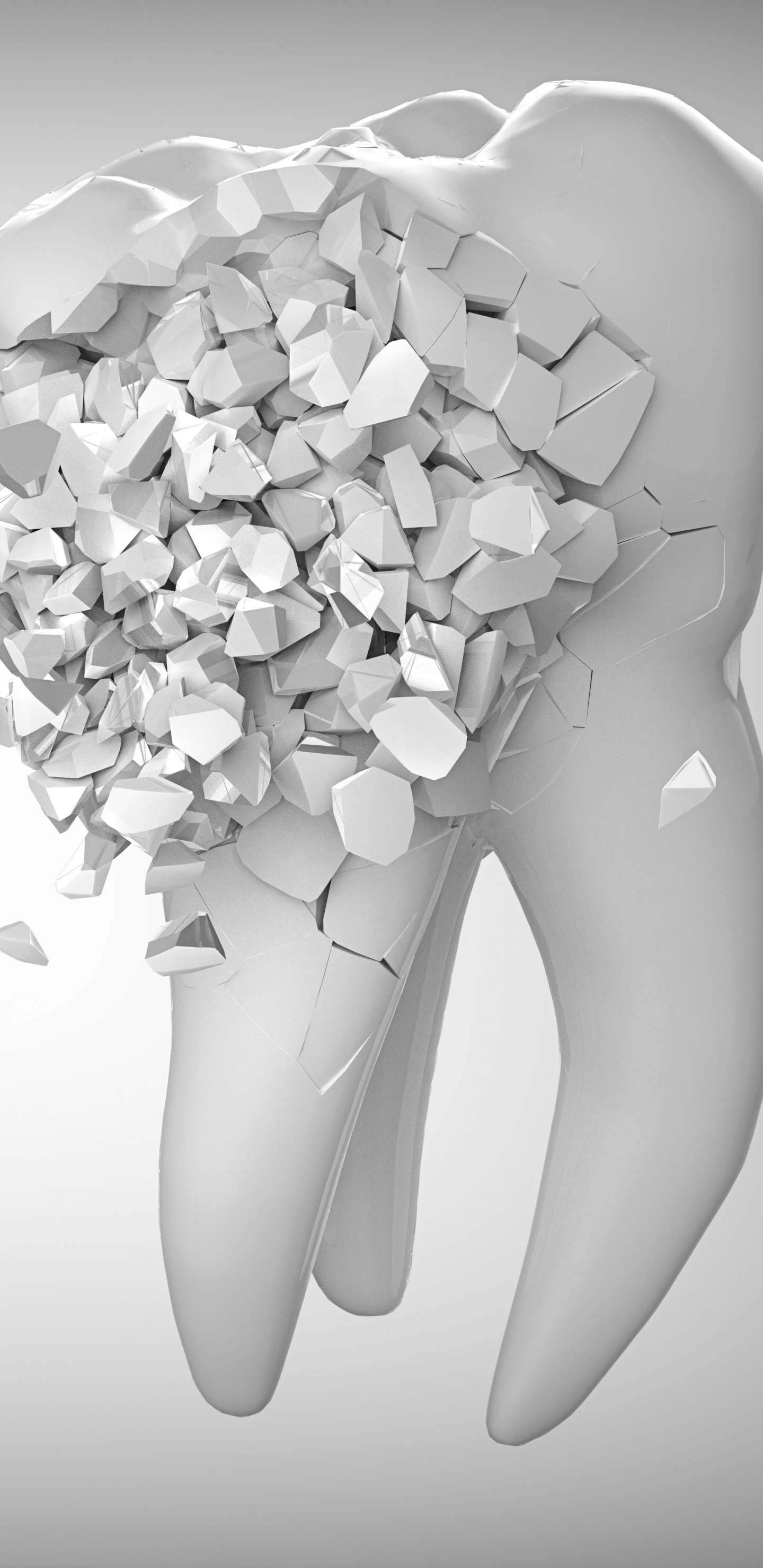 Weiße Blume Auf Weißer Fläche. Wallpaper in 1440x2960 Resolution