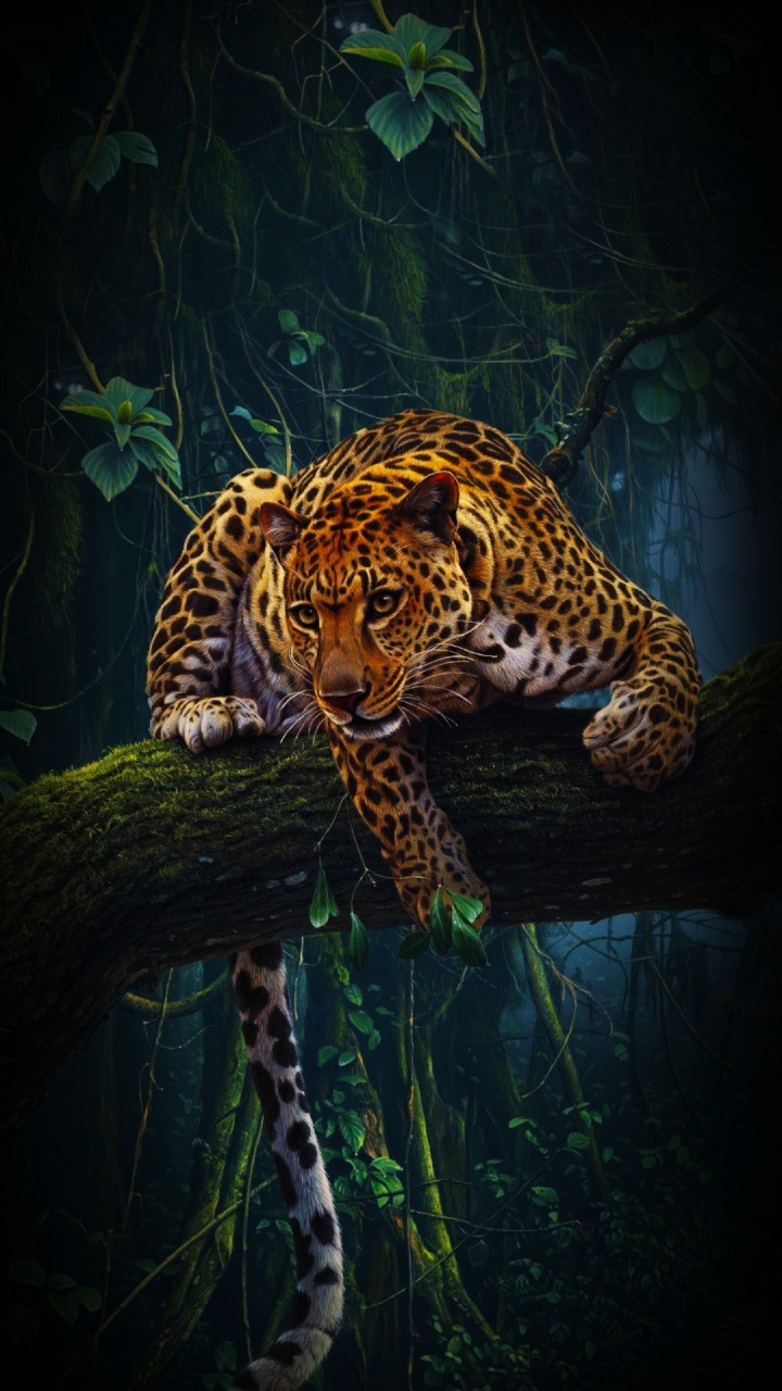 Jaguar, Felidae, African Leopard, Fleischfresser, Wasser. Wallpaper in 720x1280 Resolution