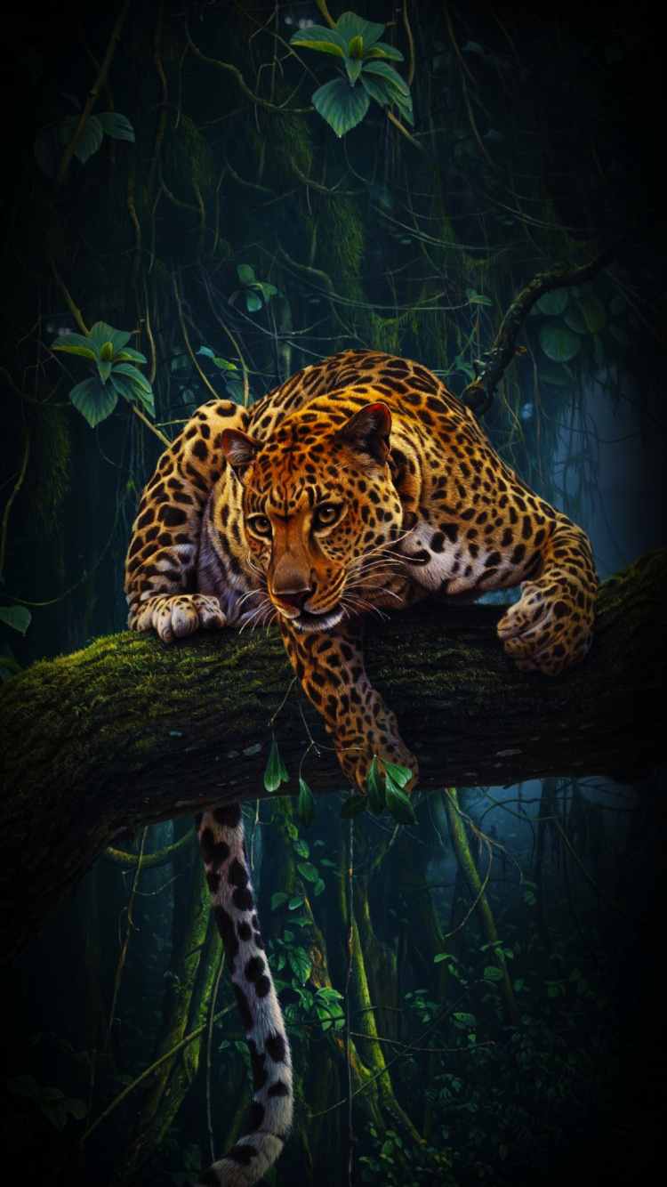 Jaguar, Felidae, African Leopard, Fleischfresser, Wasser. Wallpaper in 750x1334 Resolution