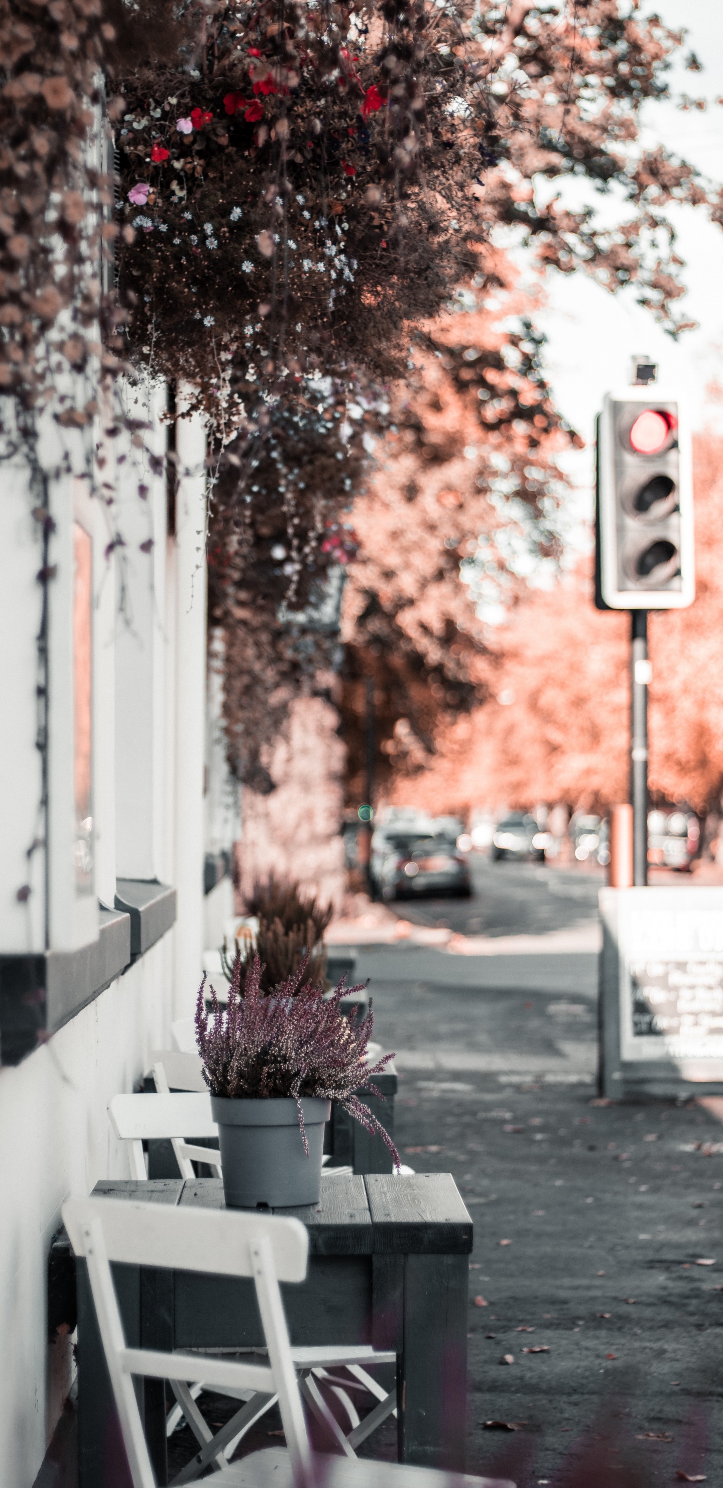 Ampel Auf Stoppschild. Wallpaper in 1440x2960 Resolution