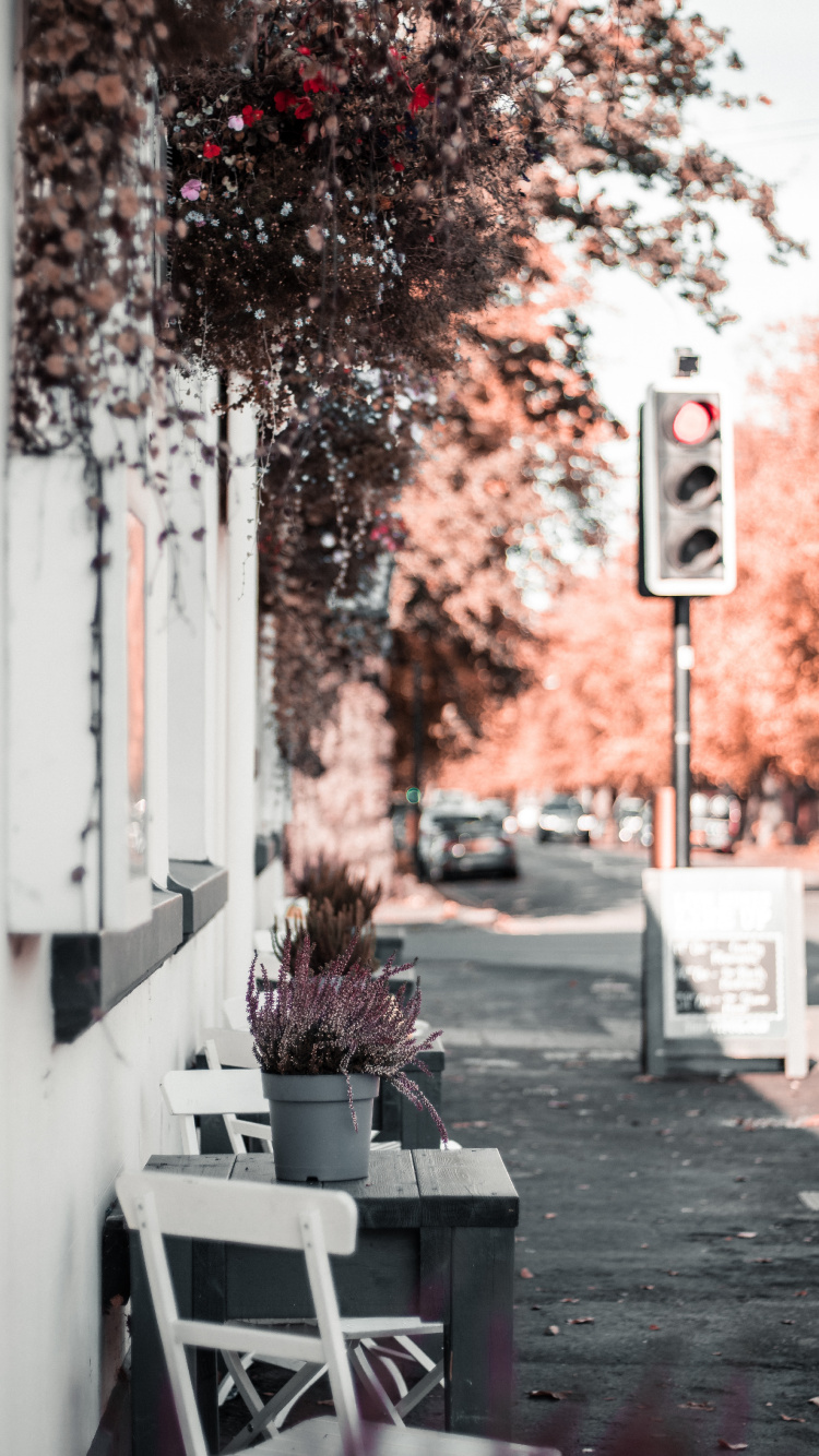 Ampel Auf Stoppschild. Wallpaper in 750x1334 Resolution