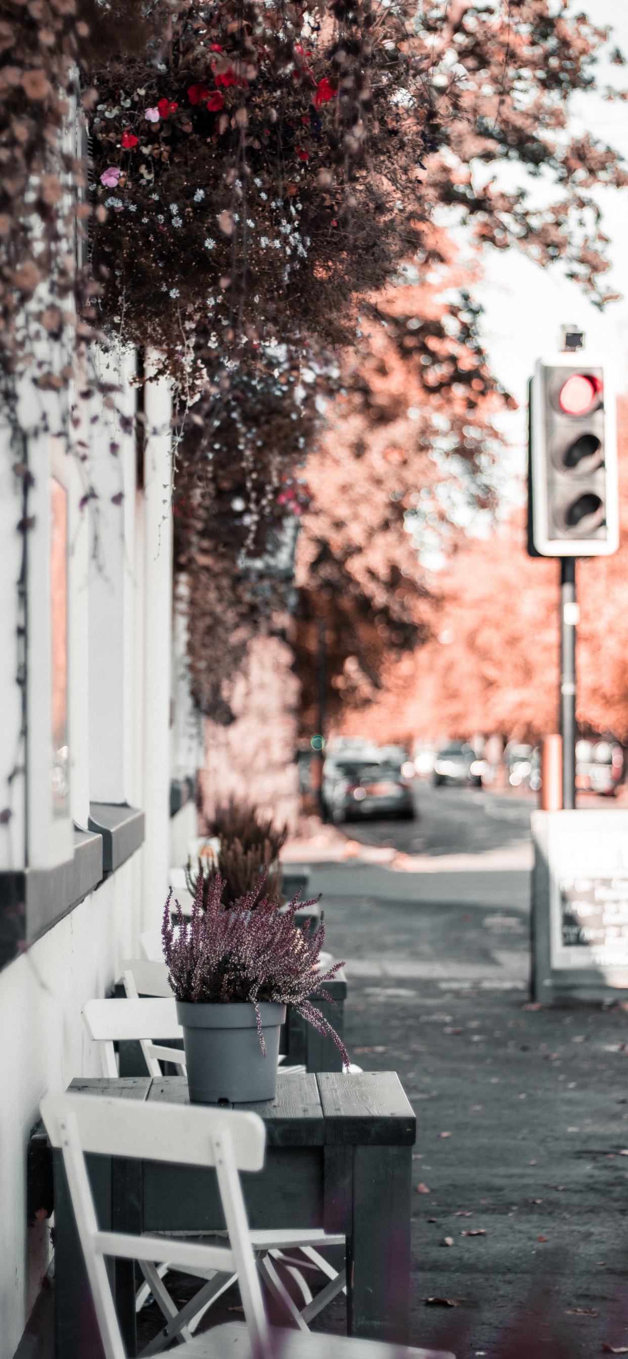 Traffic Light on Stop Sign. Wallpaper in 1242x2688 Resolution