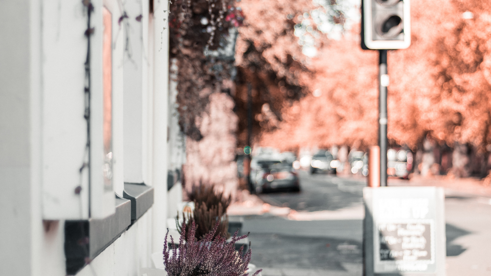 Semáforo en Señal de Stop. Wallpaper in 1920x1080 Resolution