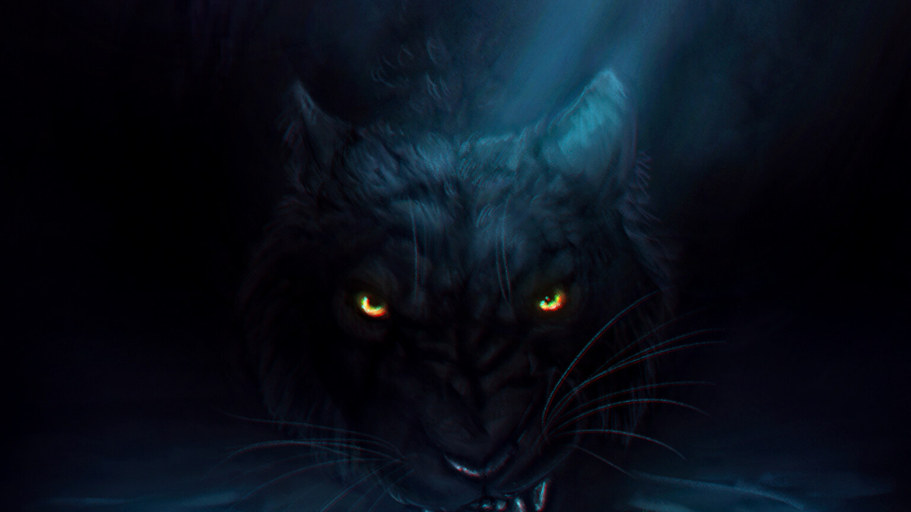 Gato Negro en el Agua Con Luces Azules. Wallpaper in 1280x720 Resolution