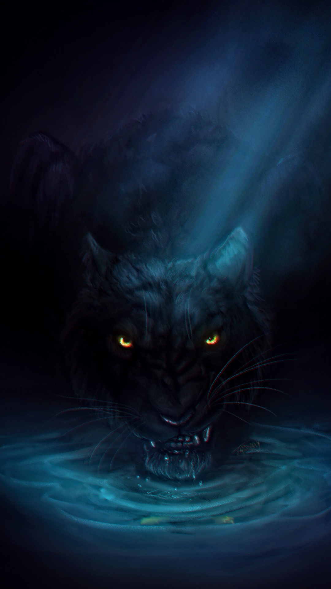 Chat Noir Dans L'eau Avec Des Lumières Bleues. Wallpaper in 1080x1920 Resolution