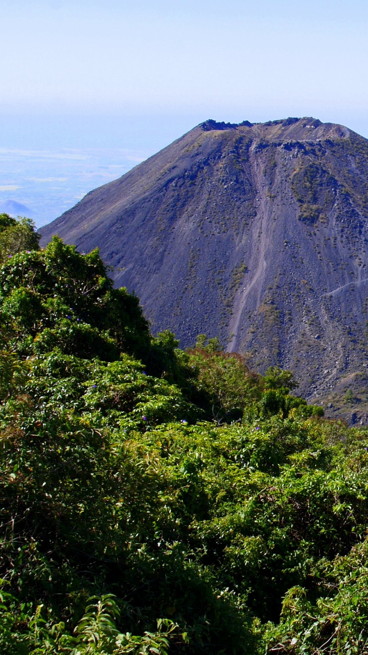 Árboles Verdes Cerca de la Montaña Bajo Nubes Blancas Durante el Día. Wallpaper in 720x1280 Resolution