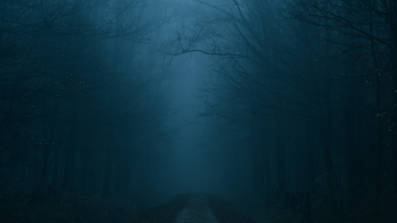 Fog, Cloud, Nature, Natural Landscape, Mist. Wallpaper in 1366x768 Resolution