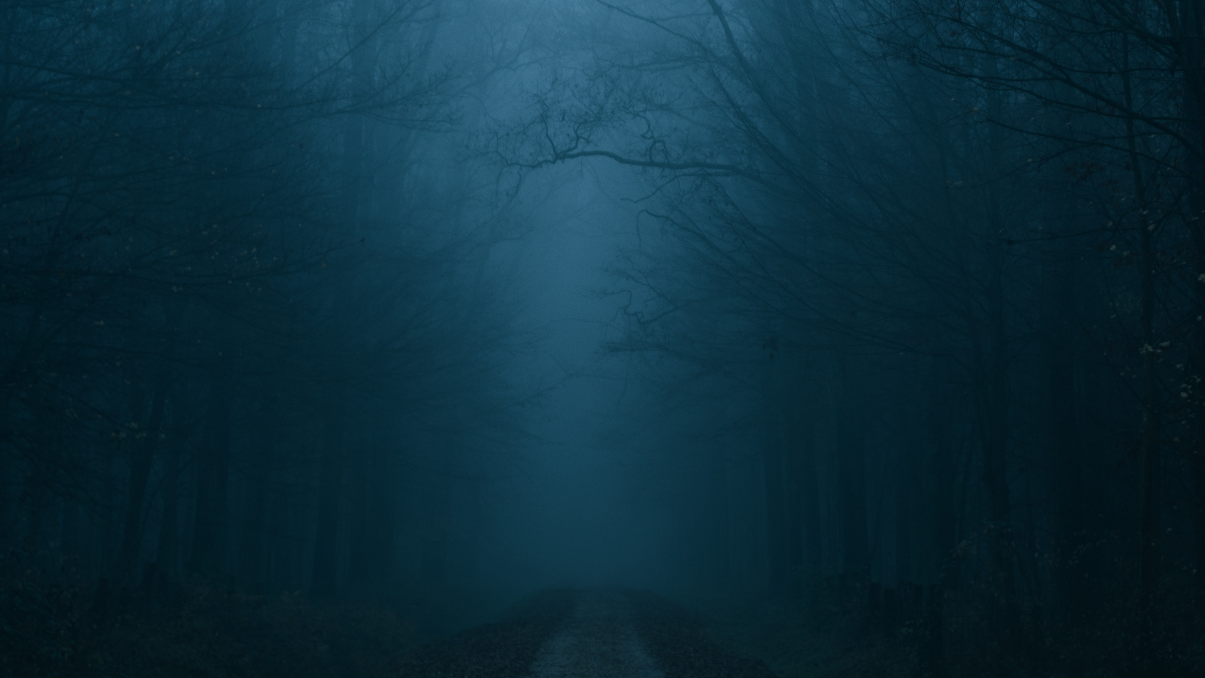 Fog, Cloud, Nature, Natural Landscape, Mist. Wallpaper in 3840x2160 Resolution