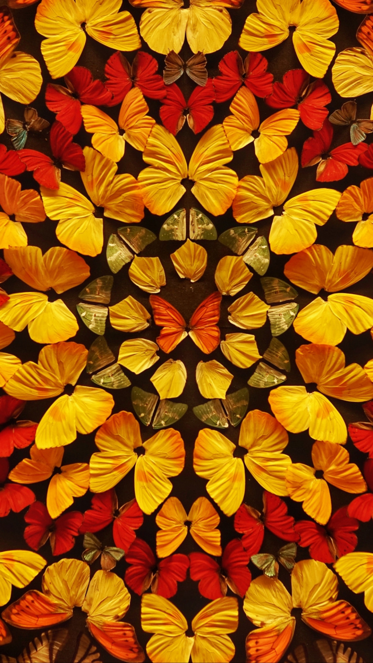 Ambre, Feuille, Orange, Botanique, Pollinisateurs. Wallpaper in 750x1334 Resolution
