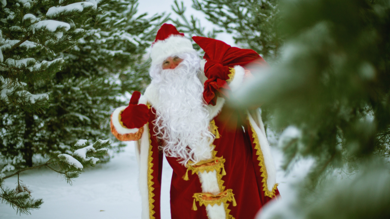 Weihnachtsmann, Ded Moroz, Neujahr, Weihnachten, Neujahr Baum. Wallpaper in 1366x768 Resolution