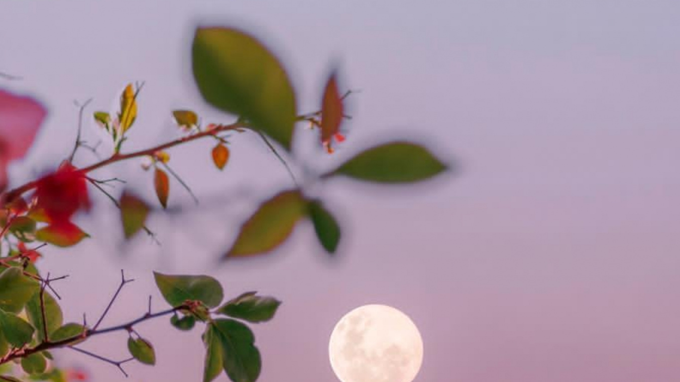 Facebook, Nacht, Webbrowser, Blog, Abend. Wallpaper in 1366x768 Resolution